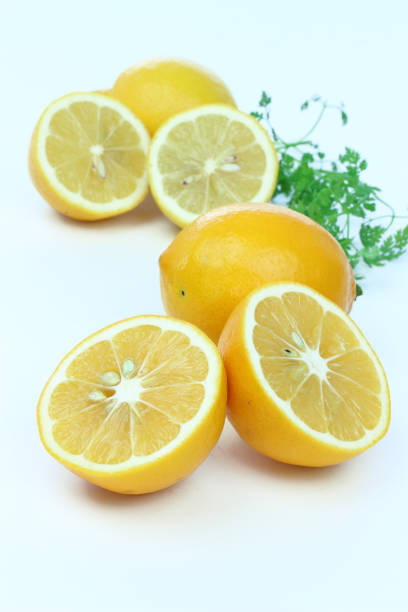 meyer citron et de citron et d’herbes (cerfeuil) - chervil healthy eating healthy lifestyle studio shot photos et images de collection