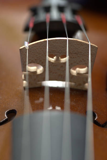 istock The classic violin bowed instrument 979086330