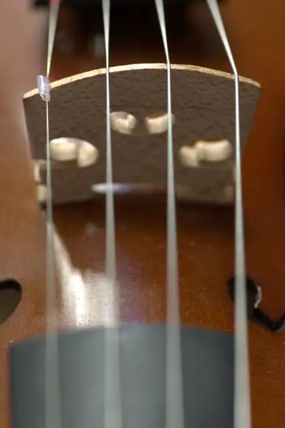 Details of the classic stringed instrument the violin