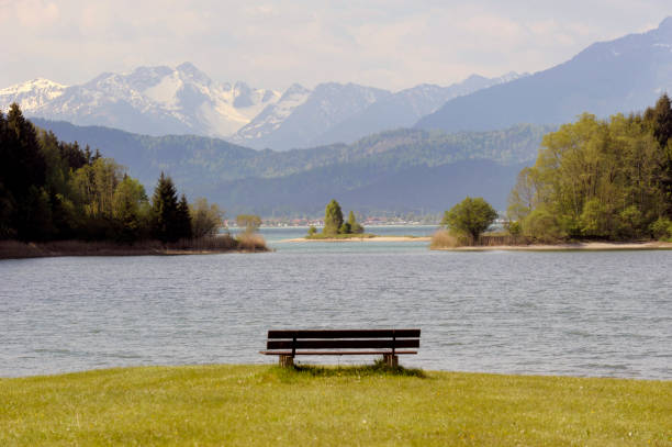 tranquil scene at lake Forggensee and mountain range tranquil scene at lake Forggensee and mountain range forggensee lake photos stock pictures, royalty-free photos & images