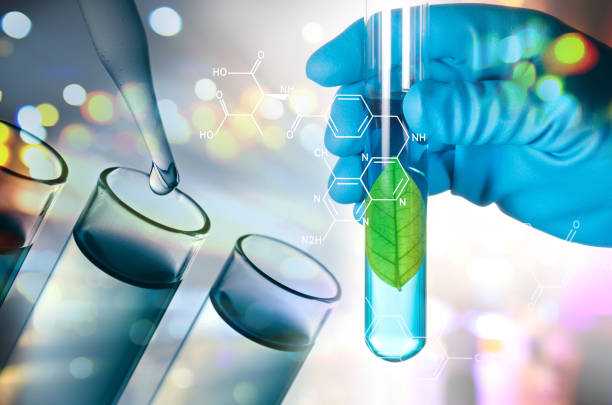 istock Digital Composite Image Of Hand Holding Test Tube With Liquid 979108808