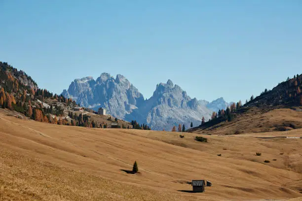 italian trentino alto adige mountain and green plan in autumn landscape