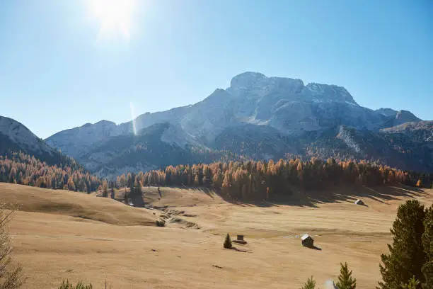 italian trentino alto adige mountain and green plan in autumn landscape