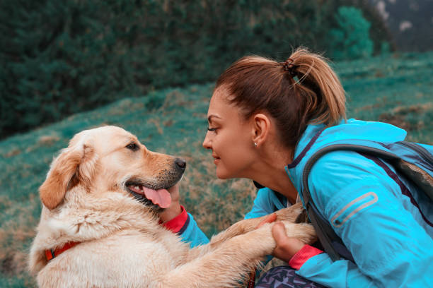 istock love my favourite dog 979122494
