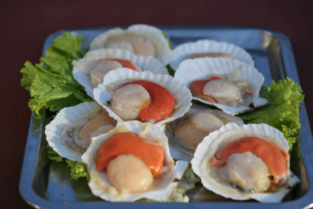 istock Raw scallop muscle 979122508