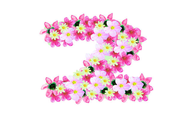 istock Floral Watercolor Number 2 on white background. 979131806