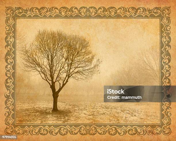 외로운 나무 안개 공원 0명에 대한 스톡 사진 및 기타 이미지 - 0명, 갈색, 겨울