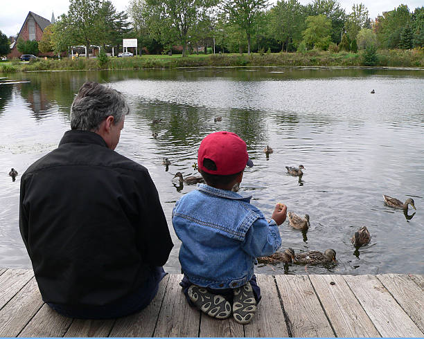 istock Dad and son feeding the ducks on a cloudy day 97915214
