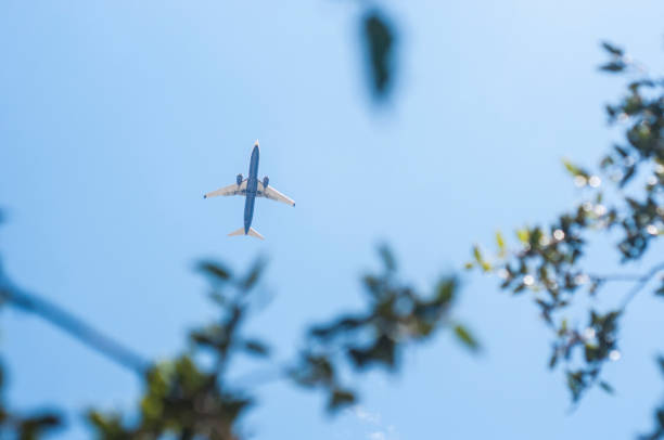 istock Airplaine going to the airport 979154364