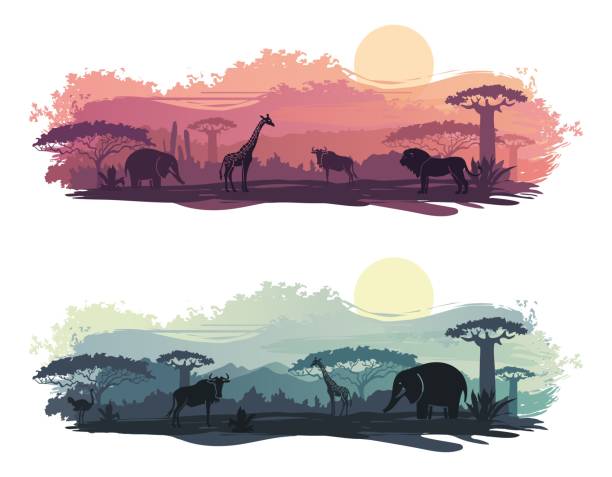 африканский пейзаж с дикими животными - african baobab stock illustrations
