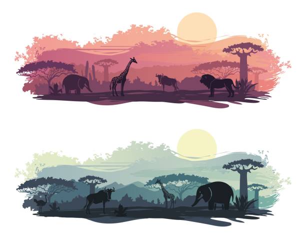 African landscape with wild animals Wild animals in the backdrop of the African sunset ostrich silhouette stock illustrations