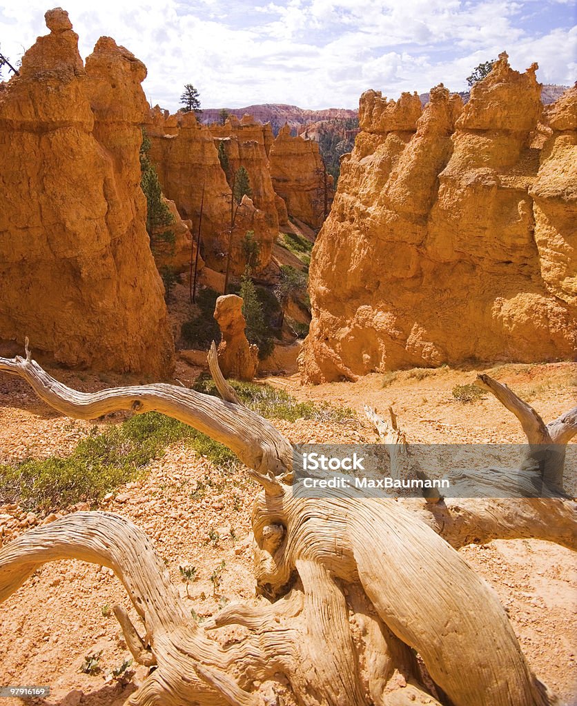 Bryce Canyon - Foto de stock de Areia royalty-free