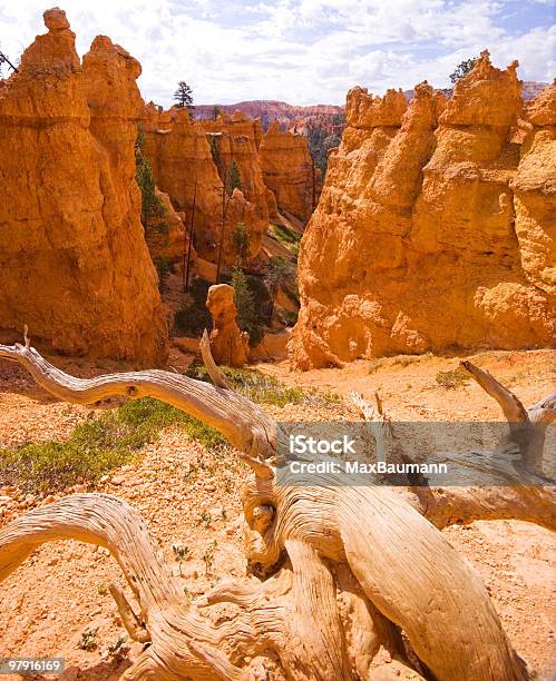 Foto de Bryce Canyon e mais fotos de stock de Areia - Areia, Beleza natural - Natureza, Bryce Canyon