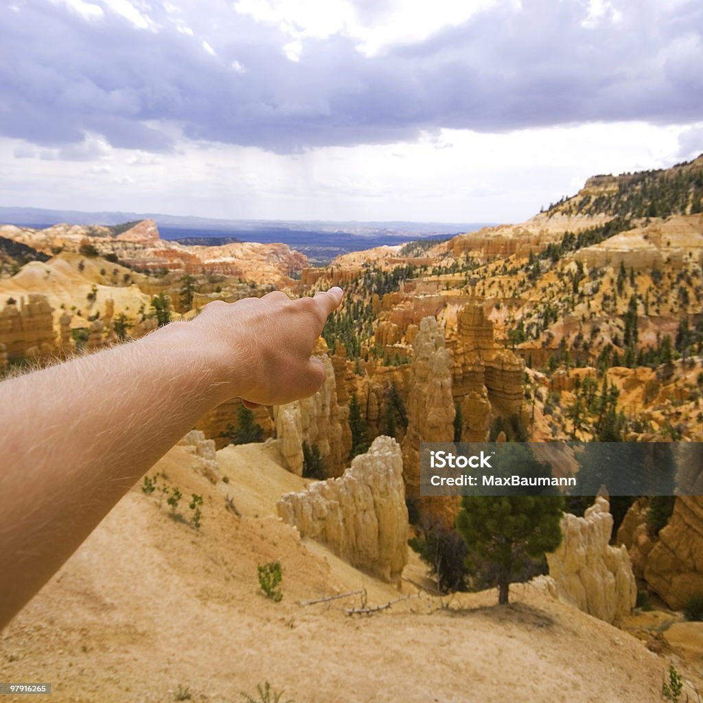 Pointing down the Canyon  Awe Stock Photo