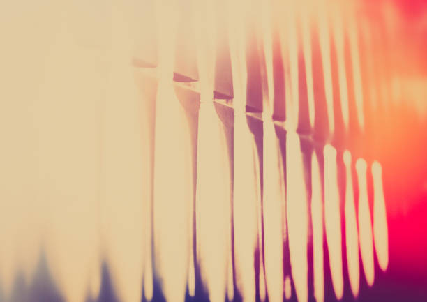 istock Sing a new song to the Lord 979188086