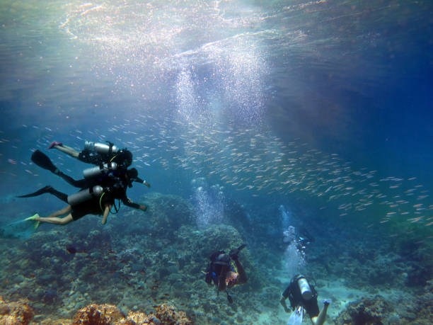 istock Scuba diving on coral reef underwater with rays light background. 979188920