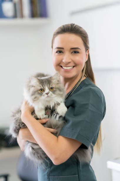 Happy veterinarian holding a cat and smiling