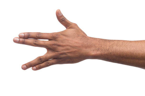 istock Black man hand gesturing in the form of crocodile 979200582