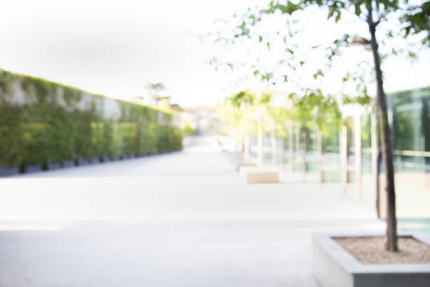 istock Blur of Empty and modern park in the hotel or office. 979200616