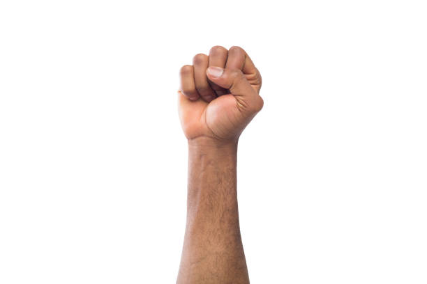 白い背景に分離された男性の黒拳 - human hand reaching human arm gripping ストックフォトと画像