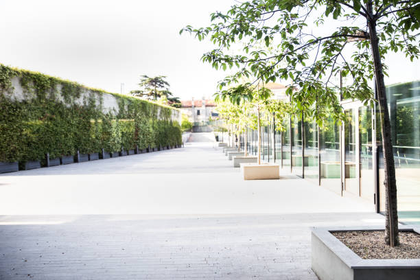 istock Empty and modern park in the hotel or office. 979201020
