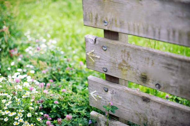 istock wooden board sign in Spring garden 979206254