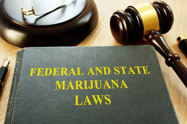 Federal and State Marijuana Laws and gavel in a court. Federal and State Marijuana Laws and gavel in a court. legalization photos stock pictures, royalty-free photos & images