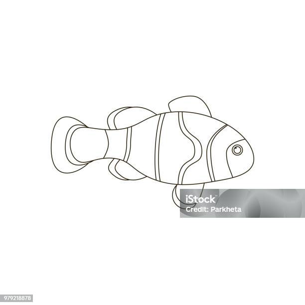 Amphiprion Clown Fish Coloring Pages Stock Illustration - Download Image Now - Anemonefish, Animal, Animal Wildlife