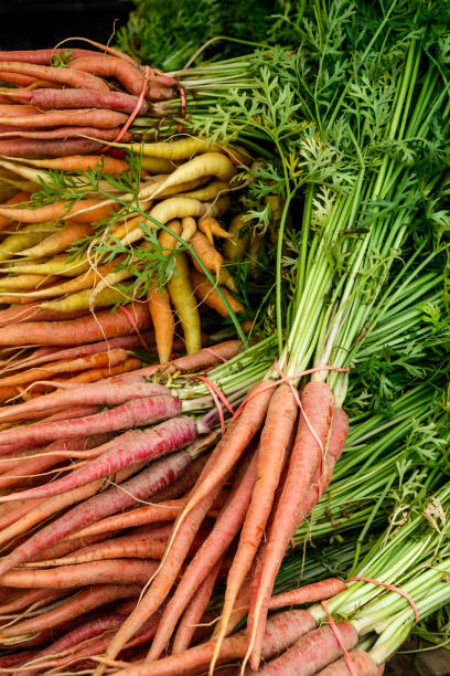 istock Fresh Carrots at an Outdoor Market 979219098