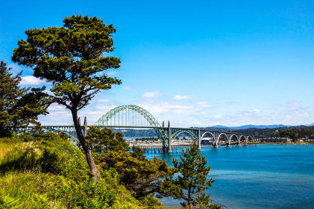 yaquina bay bridge - newport, oregon - newport oregon imagens e fotografias de stock