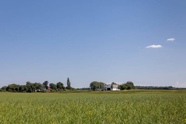 istock Farm buildings with fields and living hedges 979230096