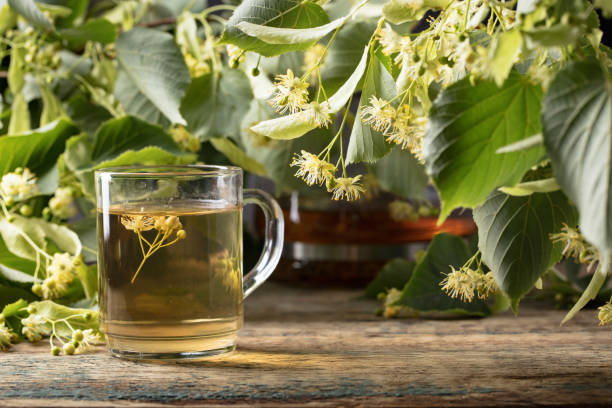 istock Linden tea and flowers on wooden table. 979230244