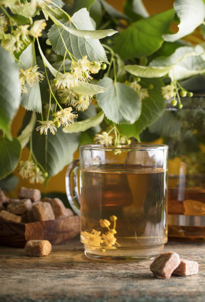 istock Glass of linden tea with brown sugar . 979230262