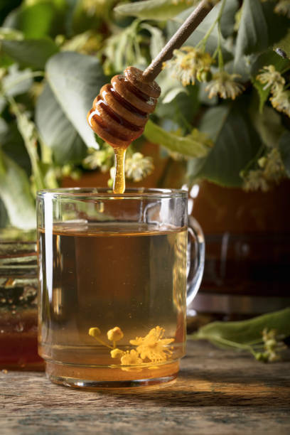 glass of linden tea with honey  on wooden table. - lime leaf imagens e fotografias de stock