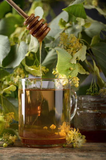 glass of linden tea with honey  on wooden table. - lime leaf imagens e fotografias de stock