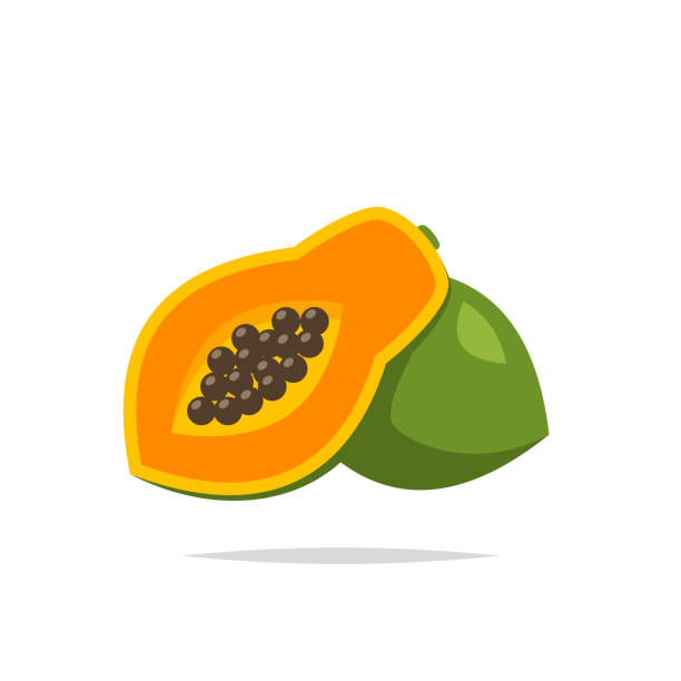 Papaya icon vector isolated illustration Vector element papaya stock illustrations
