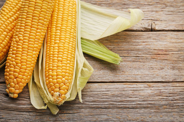istock Sweet corns on grey wooden table 979238300