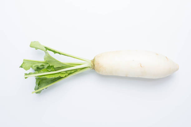 istock daikon radishes isolated on white background 979245780
