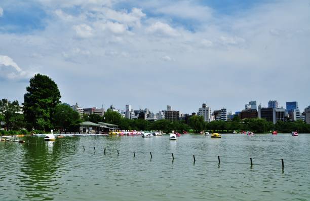 istock Shinobazu Pond at Ueno Park 979246514