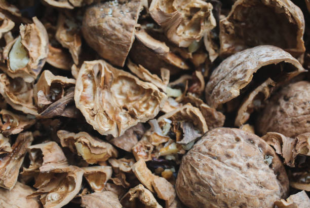 istock Walnut shells background. Nuts texture. Healthy energy food. 979250636