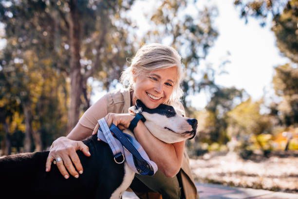 Affectionate mature woman embracing pet dog in nature Happy senior woman enjoying walk in nature and embracing pet dog in forest park woman lifestyle stock pictures, royalty-free photos & images