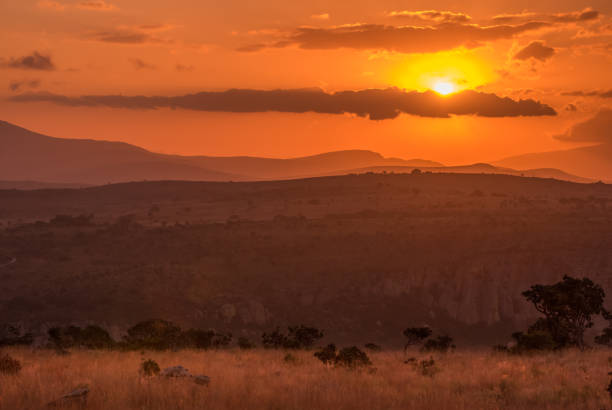 A golden orange sunset over the hills and savannah at Blyde River Canyon in Mpumalanga, South Africa Blyde River Canyon is a popular tourist destination in South Africa, featuring staggering natural landscapes blyde river canyon stock pictures, royalty-free photos & images