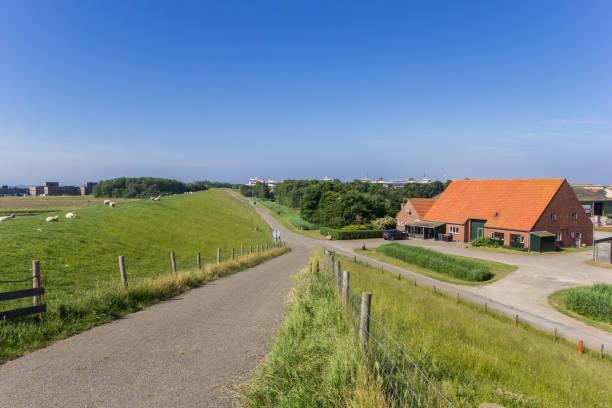 istock Road going along a dike on Texel island, Holland 979251886