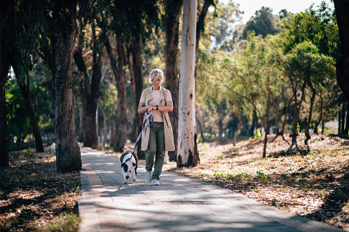 Fashionable mature woman enjoying walk in nature with dog and checking exercise progress on smartwatch