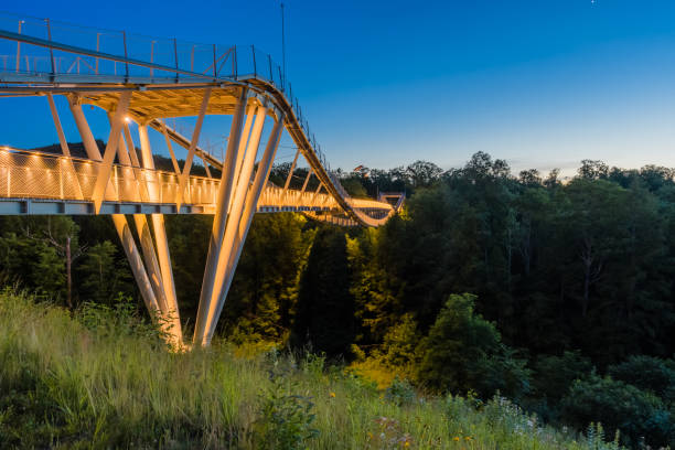istock Suspension walking bridge lit up at sunset 979256210