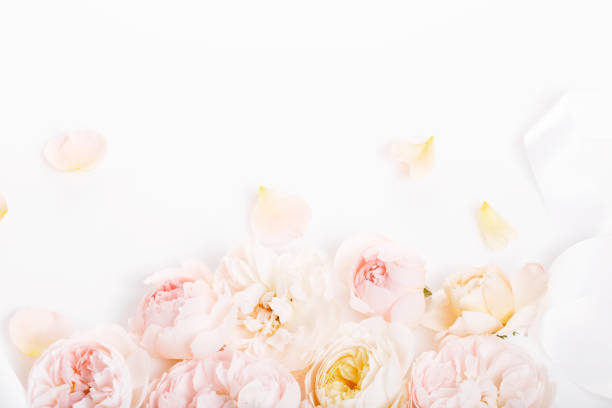 istock Sweet color fabric roses in soft style for background 979256316