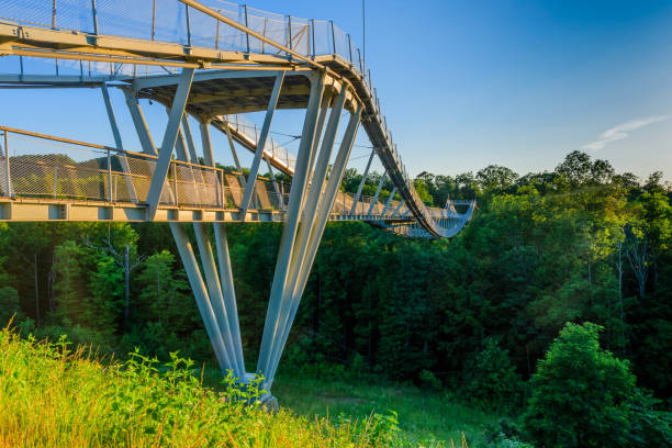 istock Suspension walking bridge lit up at sunset 979256572