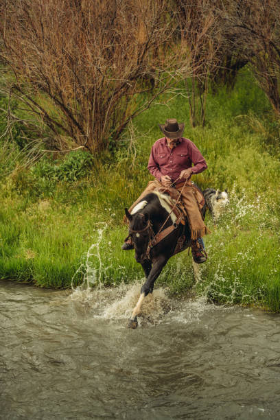 istock Utah Cowboy riding across the river 979256924