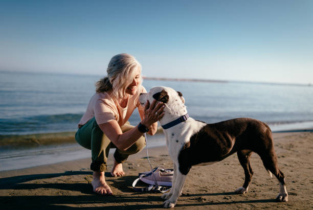 Happy mature woman petting dog on the beach in summer Happy active senior woman petting dog and relaxing by the sea in summer mature adult walking dog stock pictures, royalty-free photos & images