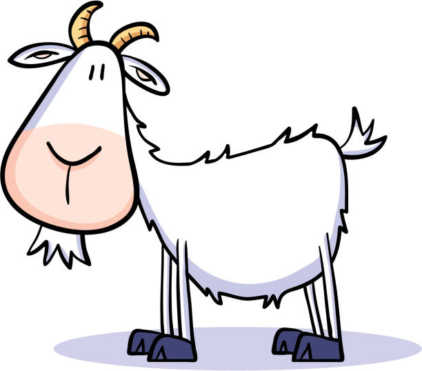 Goat Stock Illustration - Download Image Now - Goat, Cartoon, Cute - iStock